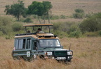 100 A9 06011c Safari