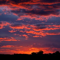 1490_A9_07828c_Sunset.jpg