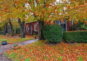 29 3613b Inselapotheke