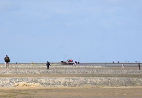 31 04667b Watt