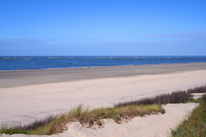 5462 Strand