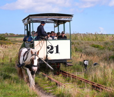 5513 Pferdebahn