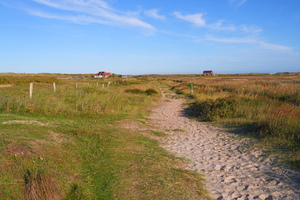 5655 Weg
