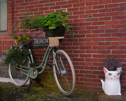 6183 Fahrrad