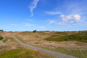 6338 Weg