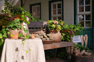 6496 Schatzinsel