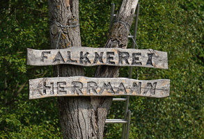 Falknerei 09168c Herrmann