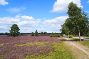 22 7514b Oberhaverbeck