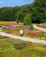 25 4270b Heidegarten