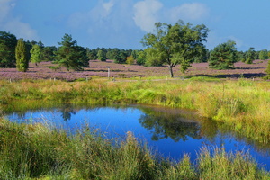 44 5020b Buesenbachtal
