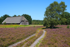 48 5121b Schnuckenstall