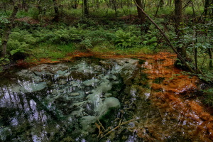 58 5697b Schwindequelle