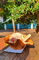 05 4733b Bunte Kuh Eis