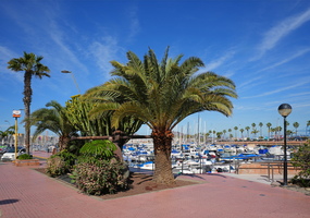 01 3603b Yacht